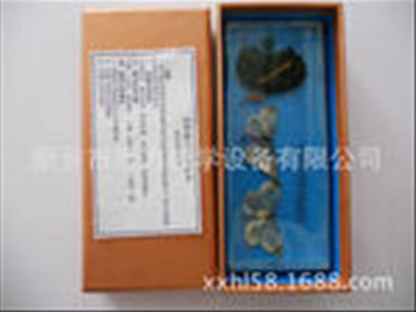 包埋昆蟲標(biāo)本